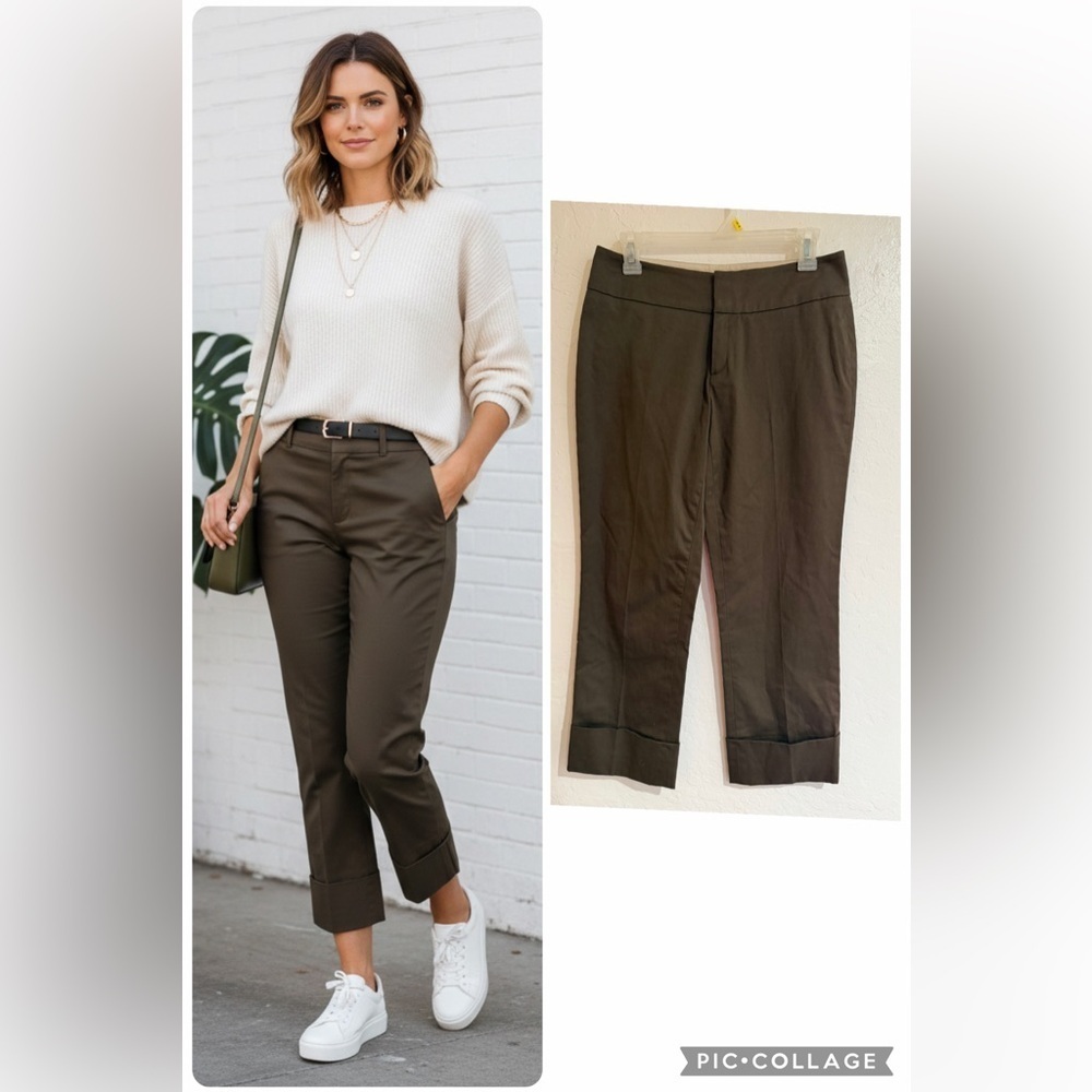 Banana Republic Martin Stretch Brown Ankle Crop Pants size 4